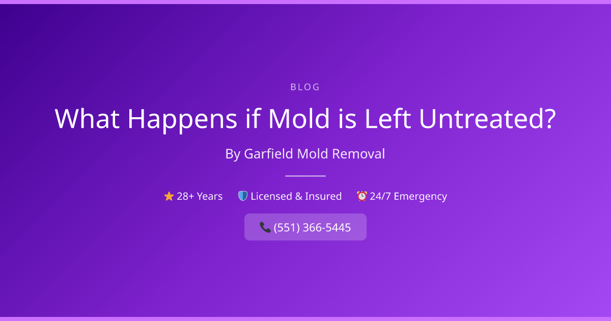 Risks of Untreated Mold | Garfield Mold Removal
